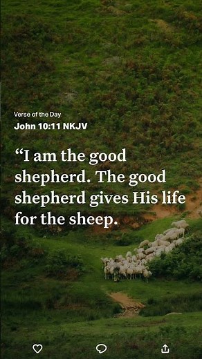John 10:11 I am the goodshepherd. The good shepherd gives His life for the sheep.
