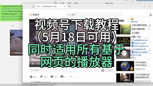 视频号下载教程，同时适用所有基于网页的播放器