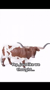 This Texas Longhorn Steer in Red/White by Little Buster Toys is sure to be a favorite addition to your growing LB collection! The Texas Longhorn Steer is designed to reflect the iconic American breed with the unique color markings and horns that are appreciated by many. Shop www.littlebustertoys.com | Little Buster Toys