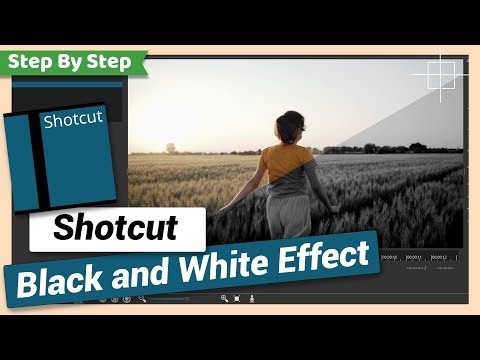 Black and White Effect or Filter | Shotcut Tutorial