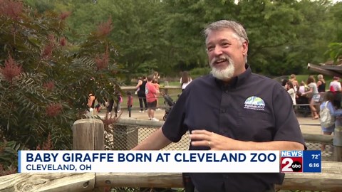 Baby giraffe born at Cleveland Zoo