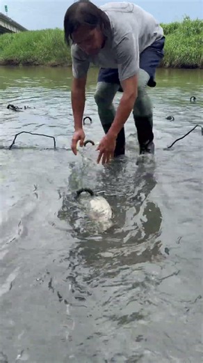 Naipit sa kadina