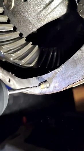That moment when you stop crying inside after snapping the Jeep Dana 30 Diff bolt. Easy Out!