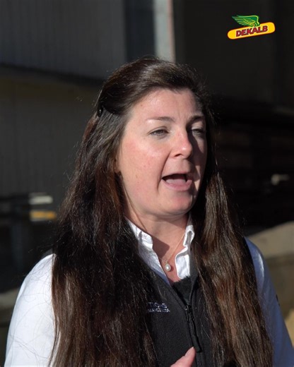 Maize genetics have come a long way, and it’s changing what growers can expect from earlier-maturing varieties. 🌽 Hayley Wellings from ProCam shares why varieties like DKC2742 are delivering impressive yields without needing to go late into the season, and what that flexibility means for growers. 🎥 | Bayer Crop Science UK