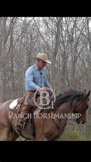 If you pull back with two reins in a snaffle