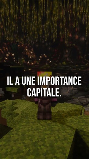 Nouvelle MAJ sur minecraft ?? #minecraft #serveur