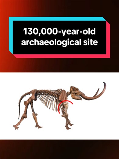 This 130,000-Year-Old Human Site in America Just Broke the Timeline! #CeruttiMastodon#US #Archaeology #AncientAmerica #Prehistory #IceAge #HumanHistory #ScientificDiscovery #HistoryMysteries #fyp #foryour
