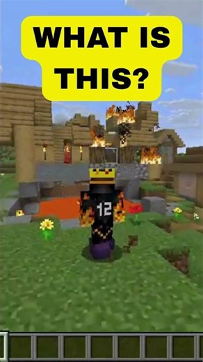 FINDING 5 TALL SUGARCANE...