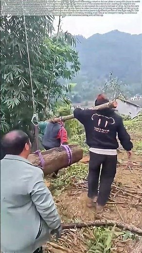 Lifting with Rotors: How Drone Power Lightens a Heavy Load