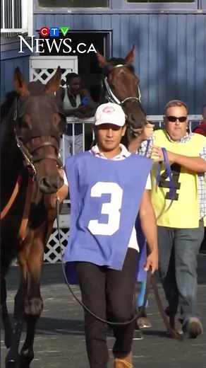 No more horse races at Hastings Racecourse