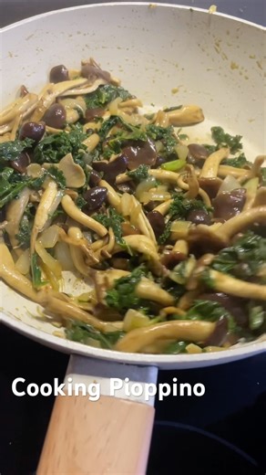 Cooking wild pioppino mushrooms