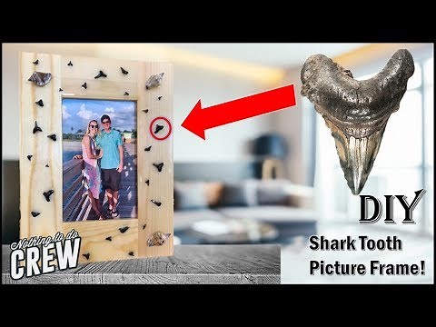 Simple Shark Tooth and Sea Shells Picture Frame! DIY Epoxy Art