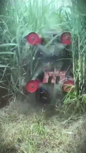 Advanced machine for cutting grass and plant stems quickly and efficiently #shorts