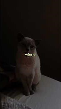 Winter houseplant stuff #plants