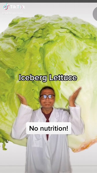 Bearded Dragon Care Tips and Romaine Lettuce: What You Need to Know