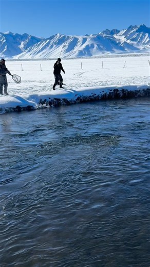 Andrew bagging a real beauty today! This was his first time winter fly fishing and his personal best fish. She put up a hell of a fight, well done brother 🙌 stoked for you. What it’s all about! Perfect weather and company today on the Upper Owens with Carl and Andrew. Fish are spread out so we had to work hard for a few good ones but all of them were quality. Nymphing under the indicator or tight line is the way to get into em right now. Cover water, stay patient, persistent and positive and yo