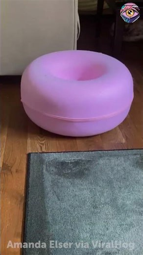 Pug Discovers Infinite Loop Mode 🐶😂