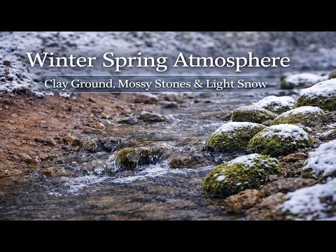 Winter Spring Atmosphere | Clay Ground, Mossy Stones & Light Snow