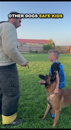 Other Dogs Safe Kids VS This Safe