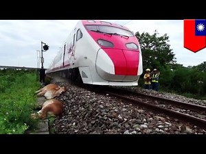 Fatal train accident: takes 6 lives without warning