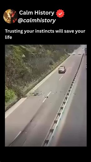 Calm History on Instagram: "From the whimsical, hand-drawn illustrations in ancient bestiaries and Victorian-era children’s books—depicting lions as noble kings of the jungle, elephants with upturned trunks in exotic processions, and birds with vibrant plumage frozen in sepia sketches—to the breathtaking high-definition wildlife documentaries of today, animals have captivated our imagination as symbols of wonder, power, and survival. Those nostalgic vintage engravings of giraffes towering over s