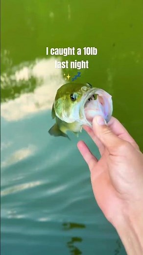 Wish I was fishing #fishing #bassproshop #viralshort #bassfishing #carpfishing #bassmaster #bass