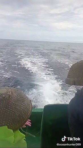 Hand Line Trawling Mackerel: A Guide to Commercial Handlining Fishing in Australia