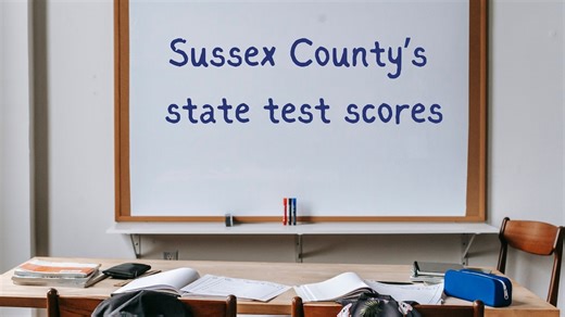 Sussex County school test scores released: How did your district perform?