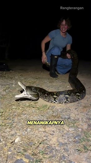 Seorang wanita menemukan ular python besar