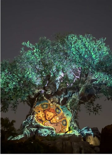 Exploring the Tree of Life at Disney's Animal Kingdom