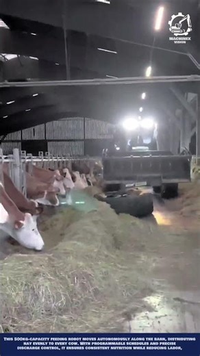 Automated Silage Pushing Machine Innovation for Industrial Dairy Farm and Livestock Management