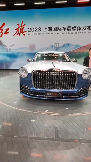 Chinese Car on TikTok