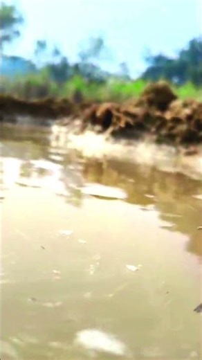 Farming : Laddi Chahal ft Parmish Verma & Mahira | Gurlej Akhtar| Desi Crew | New Punjabi Songs 2021