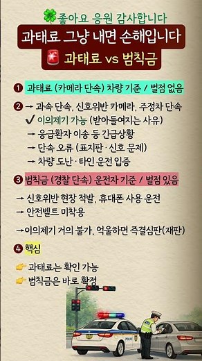과태료 그냥 내면 손해입니다 (과태료 vs 범칙금 차이)#운전자상식 #과태료 #범칙금 #교통법규 #운전정보