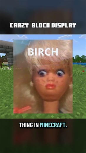 These Block Displays Are So Cursed 😭😭 #minecraft