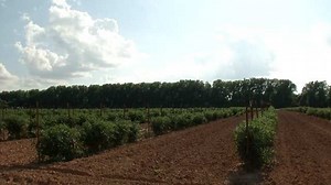 Residents Disappointed At Closing Of Popular Conrad Farms In Bixby