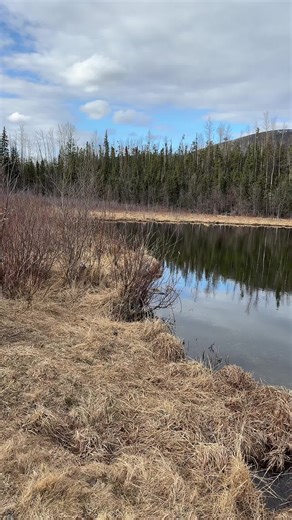 canadianfishfinder (@canadianfishfinder)’s videos with Sun Is Shining - Bob Marley & The Wailers