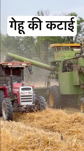 Harvesting wheat at Veer Dairy Farm -vlog. Today we will harvest the wheat crop, what work was do...