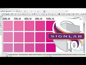 SignLab Print and Cut V10 Working Windows 11 Pro x64 Bit