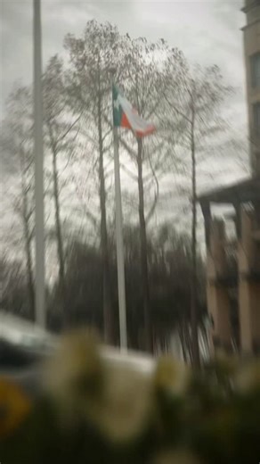 Part of the family now 🤝 | Toronto FC