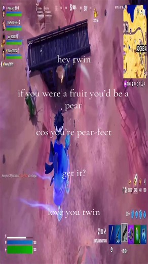 Relatable Twin Moments in Fortnite