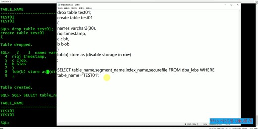 260-如何查看LOB类型的详细参数信息