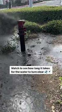 This is exactly why fire protection systems need regular flushing 💦