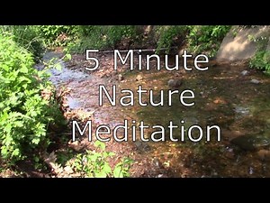 5 minute Guided Meditation with Nature Sounds