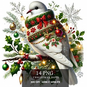Christmas Dove Clipart: 14 PNG Images for Scrapbooking (digital Download) - Etsy