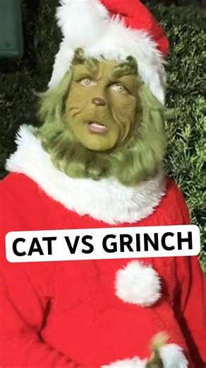 🍿Who Has The Best Movie: GRINCH OR CAT IN THE HAT? #grinch #cat #funny