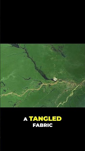 Thousands of Hidden Rivers Inside the Amazon #discovery #amazondocumentary #wildlife