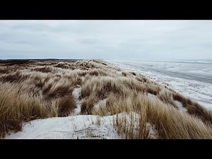 Windy Sand Dune Beach Ambience | Ocean, Storm, Grass, Wind, Waves | White Noise ASMR | 12 Hours