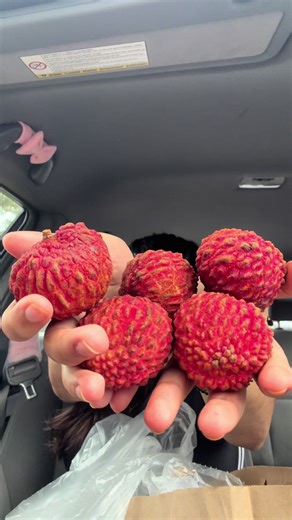 Expensive Lychees in Sydney: 1640 BDT for 4!