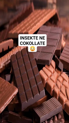Insekte ne Cokollate😳 #informacione #tedobishme | Nadir Mura